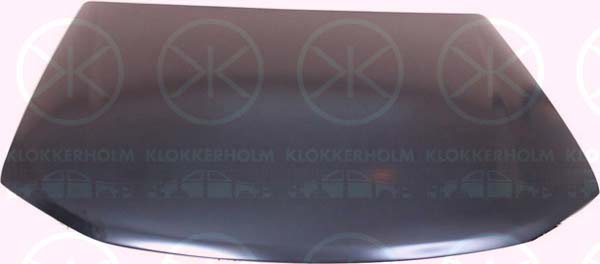 Capota motor 5536281 KLOKKERHOLM