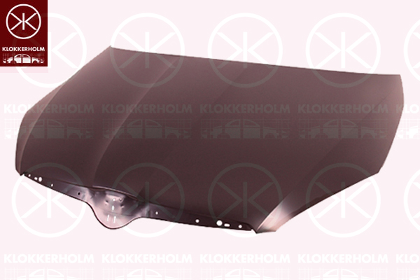 Capota motor 7515281 KLOKKERHOLM
