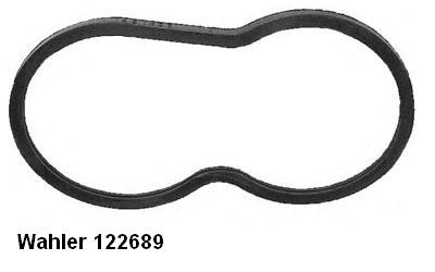 Garnitura termostat 122689 BorgWarner (Wahler)