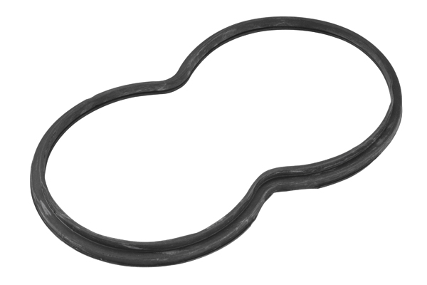 Garnitura termostat 122690 BorgWarner (Wahler)