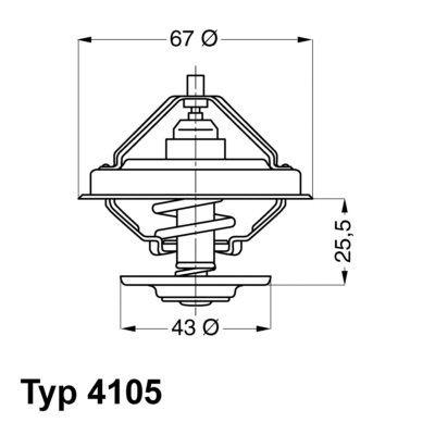 Termostat,lichid racire 4105.79D BorgWarner (Wahler)