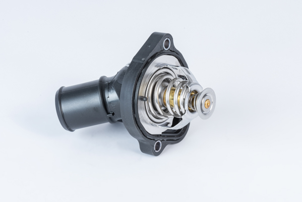 Termostat,lichid racire 411886.82D BorgWarner (Wahler)
