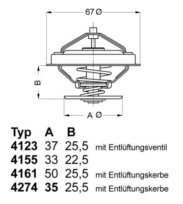 Termostat,lichid racire 4123.80D BorgWarner (Wahler)