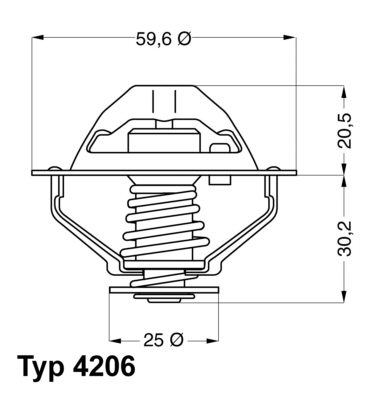 Termostat,lichid racire 4206.90D BorgWarner (Wahler)