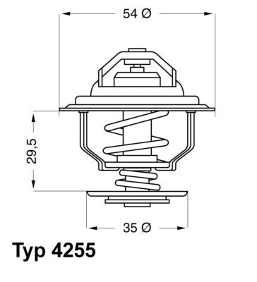 Termostat,lichid racire 4255.87D BorgWarner (Wahler)