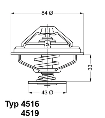Termostat,lichid racire 4516.85D BorgWarner (Wahler)
