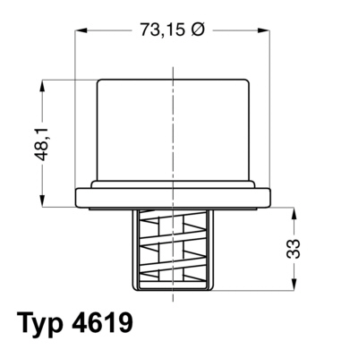 Termostat,lichid racire 4619.80 BorgWarner (Wahler)