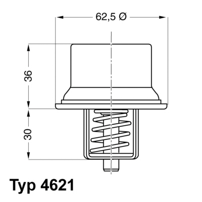 Termostat,lichid racire 4621.80D BorgWarner (Wahler)