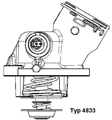 Termostat,lichid racire 4833.100D BorgWarner (Wahler)