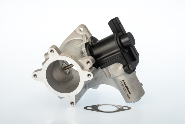 Supapa EGR 710575D BorgWarner (Wahler)