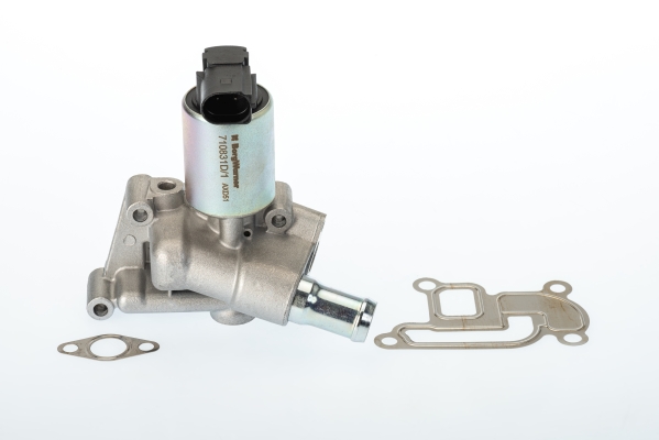 Supapa EGR 710831D BorgWarner (Wahler)