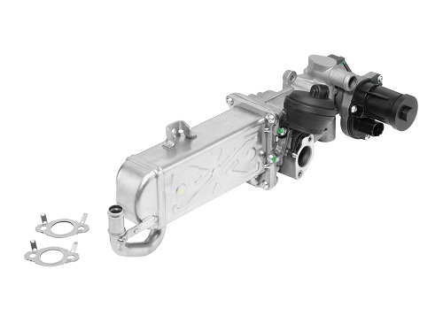 Modul-EGR 710861R BorgWarner (Wahler)