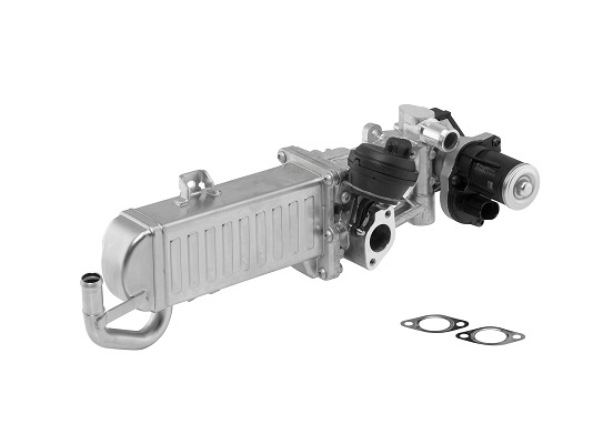 Modul-EGR 710861D BorgWarner (Wahler)