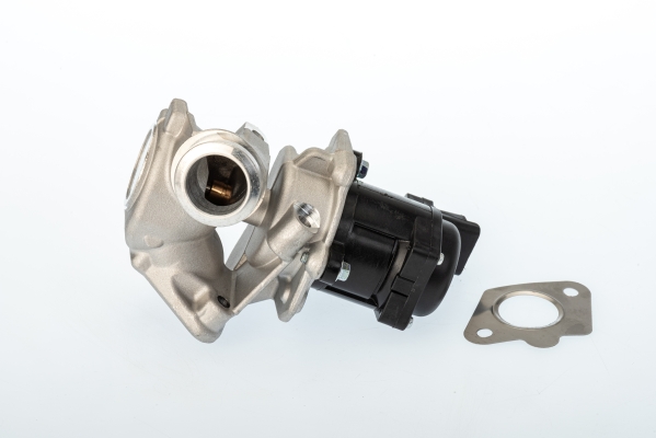 Supapa EGR 711020D BorgWarner (Wahler)