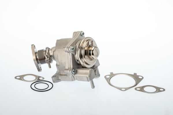 Supapa EGR 7631D BorgWarner (Wahler)