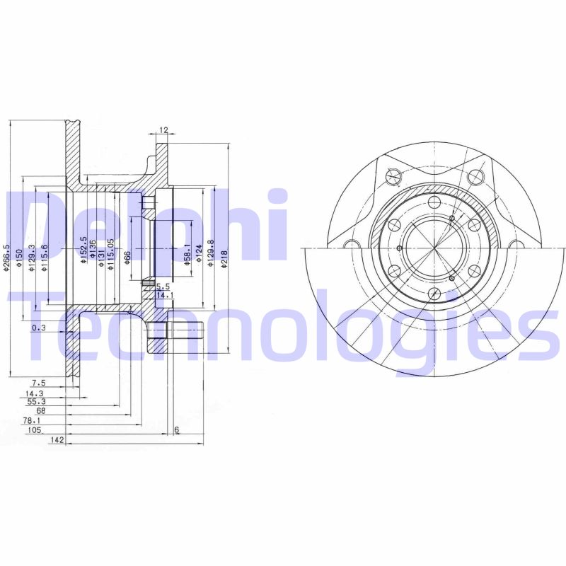 Disc frana BG302 DELPHI