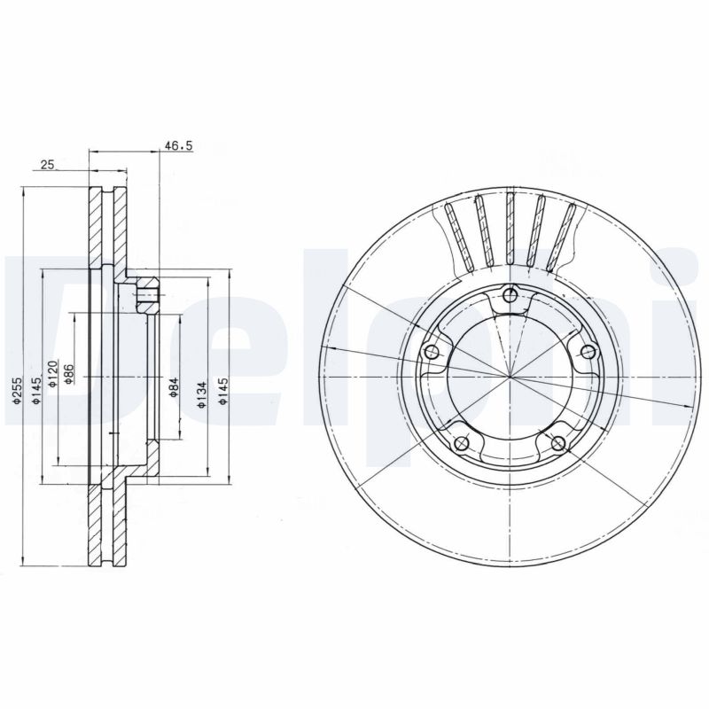 Disc frana BG3174 DELPHI