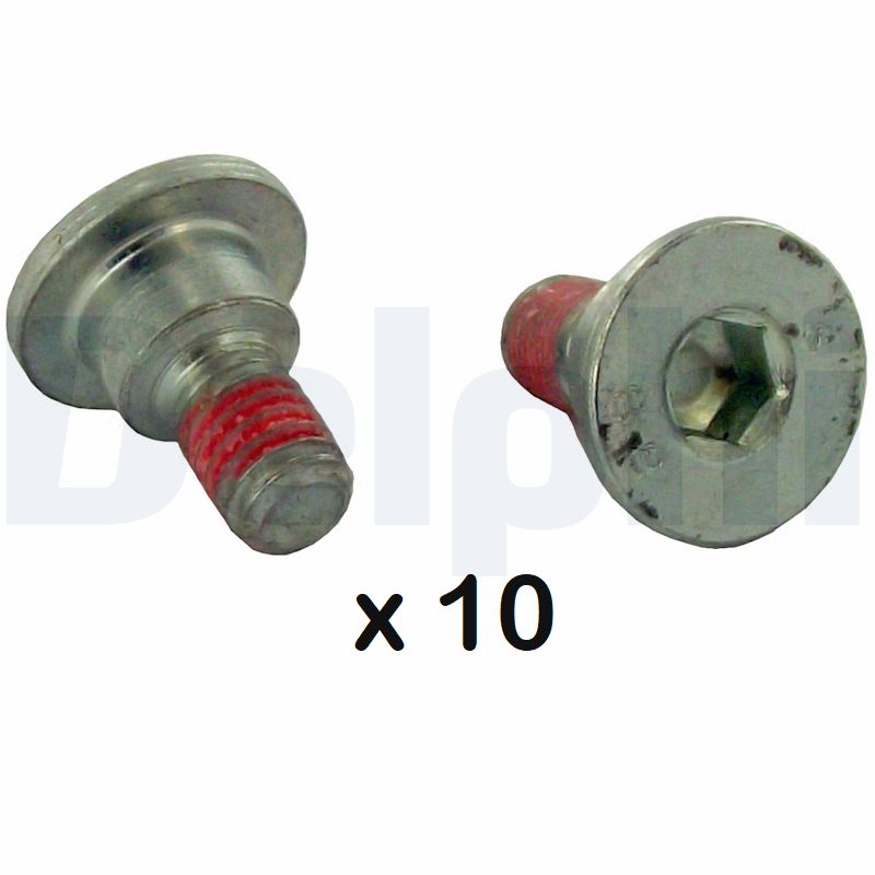 Surub, disc frana BGK003 DELPHI