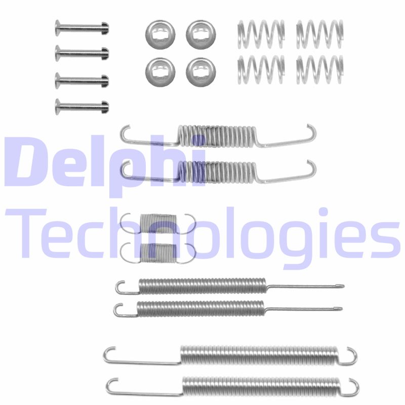 Set accesorii, sabot de frana LY1098 DELPHI