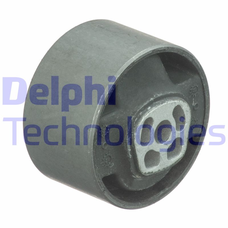 Suport motor TEM089 DELPHI