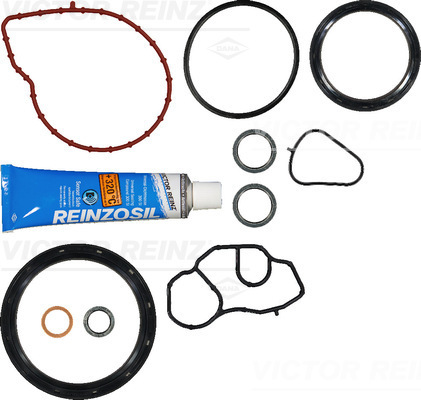 Set garnituri, carter 08-11542-01 VICTOR REINZ
