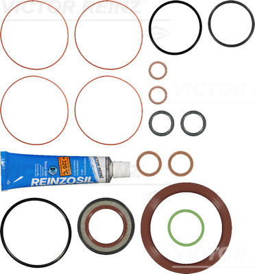 Set garnituri, carter 08-31859-01 VICTOR REINZ