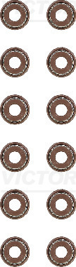 Set garnituri, ax supape 12-53036-02 VICTOR REINZ