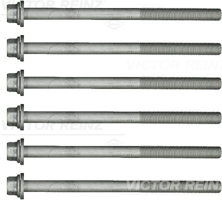 Set surub, chiulasa 14-17783-01 VICTOR REINZ