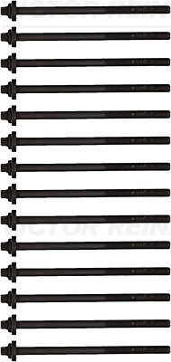 Set surub, chiulasa 14-32311-01 VICTOR REINZ