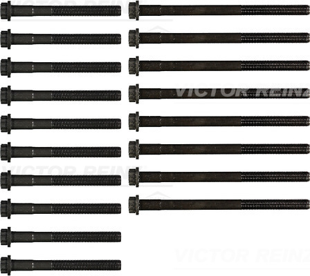 Set surub, chiulasa 14-55034-01 VICTOR REINZ