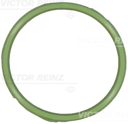 Garnitura, carcasa galerie admisie 71-18339-00 VICTOR REINZ