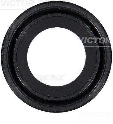 Simering, ax cu came 81-10459-00 VICTOR REINZ