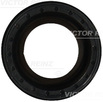 Simering, ax cu came 81-10594-00 VICTOR REINZ