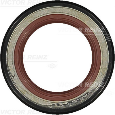 Simering, ax cu came 81-33636-00 VICTOR REINZ