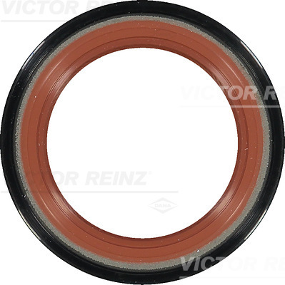 Simering, ax cu came 81-37186-00 VICTOR REINZ