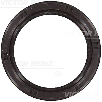 Simering, ax cu came 81-53582-00 VICTOR REINZ