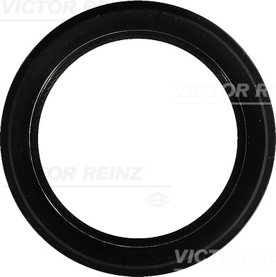 Simering, arbore cotit 81-54272-00 VICTOR REINZ