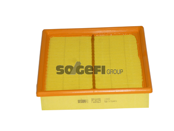 Filtru, aer habitaclu PC8029 SogefiPro