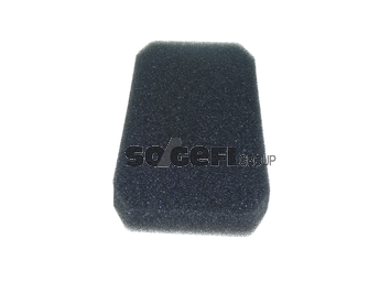 Filtru, aer habitaclu PC8179 SogefiPro