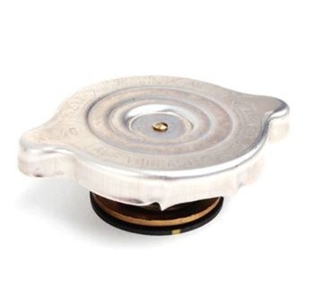Buson,radiator 359001602870 MAGNETI MARELLI