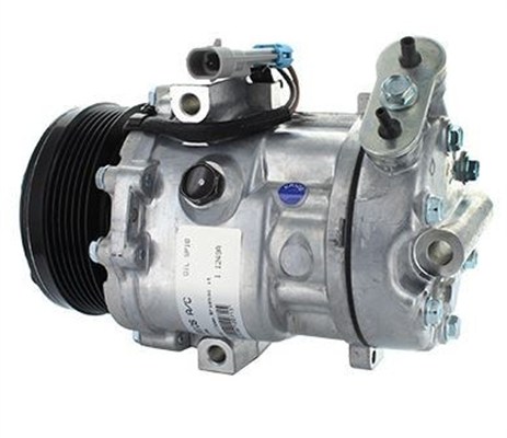 Compresor, climatizare 359002000440 MAGNETI MARELLI