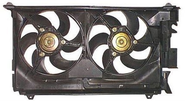 Ventilator, radiator 359003900170 MAGNETI MARELLI