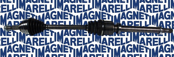 Planetara 302004190113 MAGNETI MARELLI